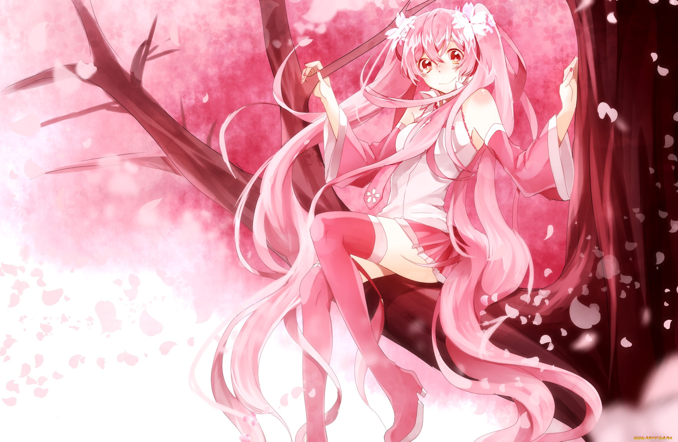 , vocaloid, sakura, miku